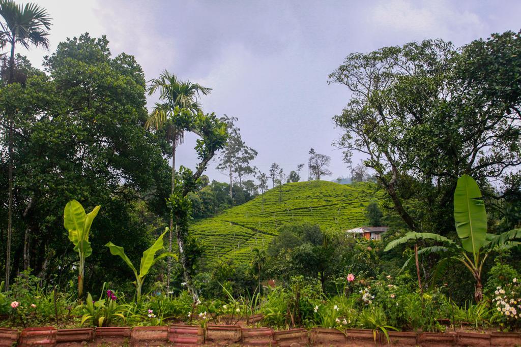 Ella Nature Resort Exterior photo